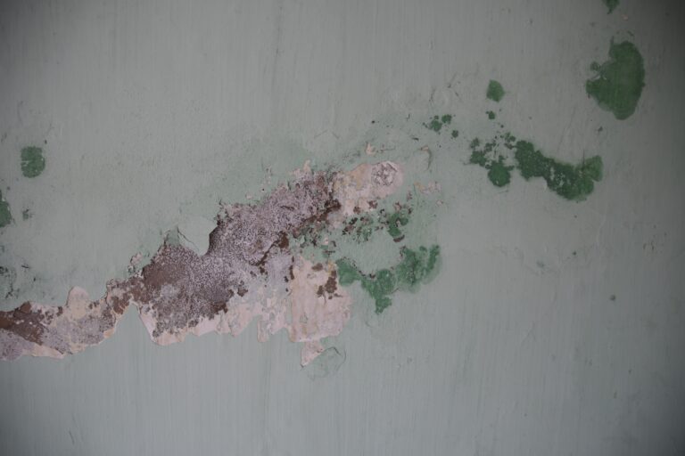 Mould and mildew on a white wall